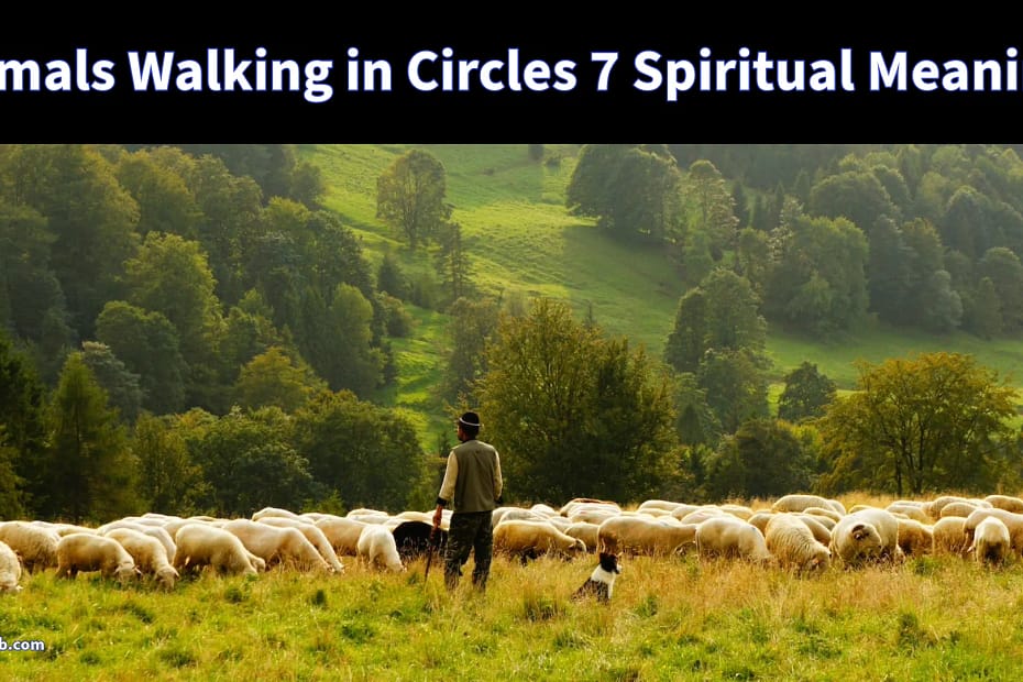 Animals Walking in Circles Spiritual Meaning  